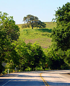 Lone Tree, Sonil, CA