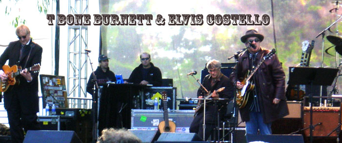 Elvis Costello Banner photo