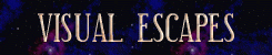 VE Banner
