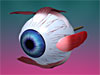 The Five Senses