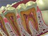 Dentistry Animation