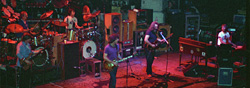 Grateful Dead Warfield icon